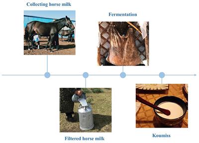 Effects of Koumiss on Intestinal Immune Modulation in Immunosuppressed Rats